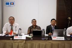 The 3rd Regional Workshop on the ASEAN Sustainable Development Goals Indicators (SDGI)